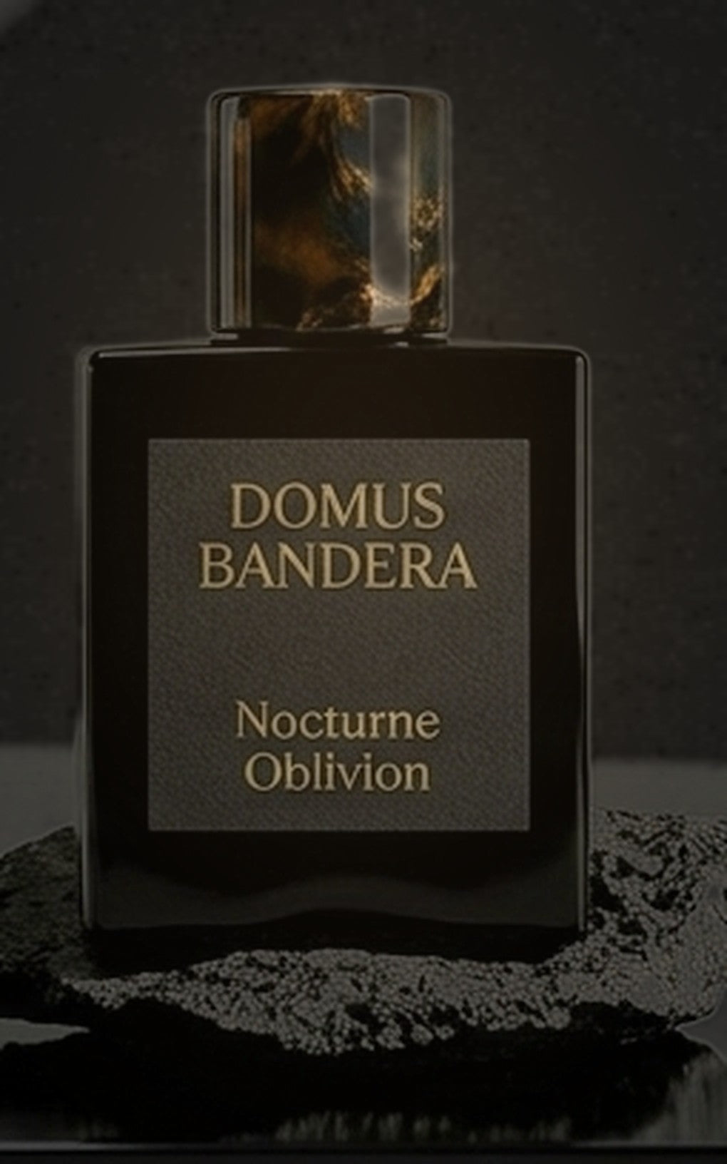 Nocturne Oblivion